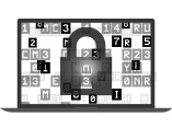 Maximum Security